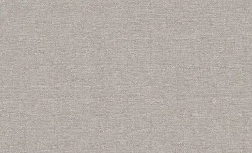 Erismann Jacklin 60111-03 обои виниловые на флизелиновой основе 60111-03