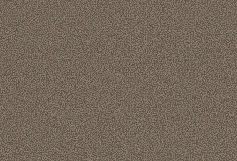 Нева Тафт Арена ковролин 996 50,44