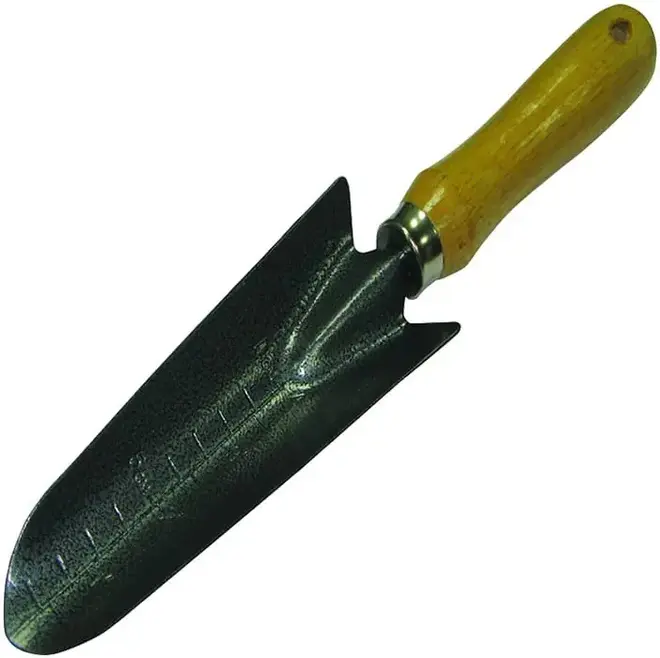 Фарина лопатка посадочная