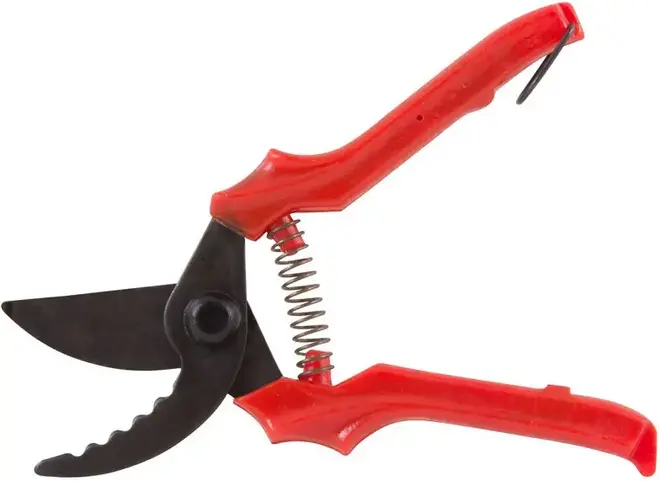 С-41-5 секатор с зубчиками (210 мм)