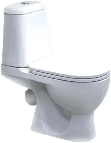 Sanita Luxe Max Comfort унитаз-компакт белый (WC.CC/Max/2-DM/WHT.G/S1)
