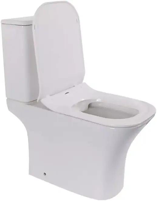 Cerutti SPA Vettore унитаз-компакт напольный с бачком белый (CT7192)
