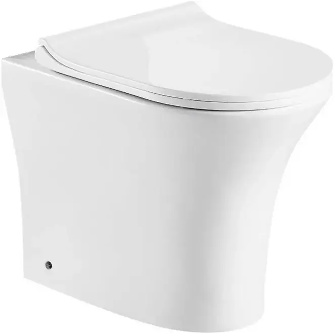 Cerutti SPA Bernina F унитаз-компакт приставной безободковый белый (CT7842)