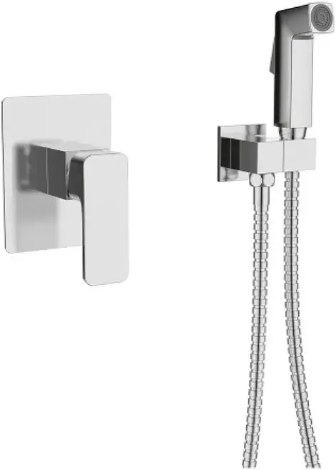 Vieir V113552 смеситель для биде скрытого монтажа хром (V113552)