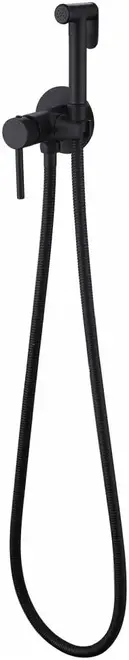 Abber Wasser Kreis AF8125 смеситель с гигиеническим душем черный матовый (AF8125B)