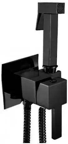 Ganzer GZ72101 смеситель для биде встраиваемый черный (GZ72101C Set)