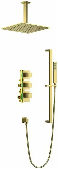 Timo Selene SX-2229 система душевая скрытого монтажа золото матовое (SX-2229/17SM)