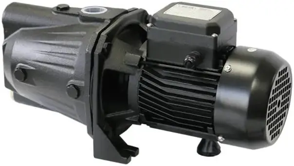 Zota Lotos 100 L насос поверхностный