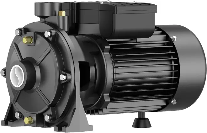 Pumpman 2TCP25/160B насос самовсасывающий