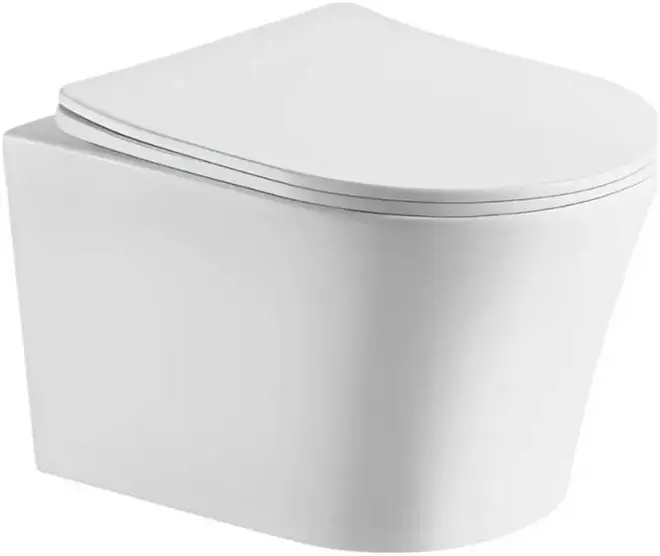 Cerutti SPA Adige Aria унитаз подвесной безободковый белый CT7837
