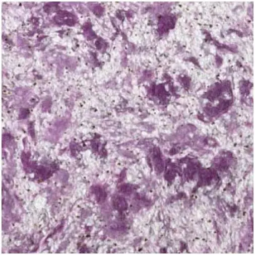 Bioplast 413 жидкие обои (850 г)