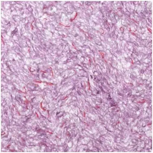 Bioplast 611 жидкие обои (850 г)