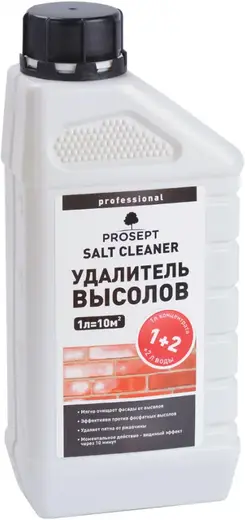 Просепт Salt Cleaner удалитель высолов (1 л)