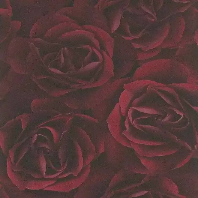 Rasch Crispy Paper 525625 обои виниловые на флизелиновой основе