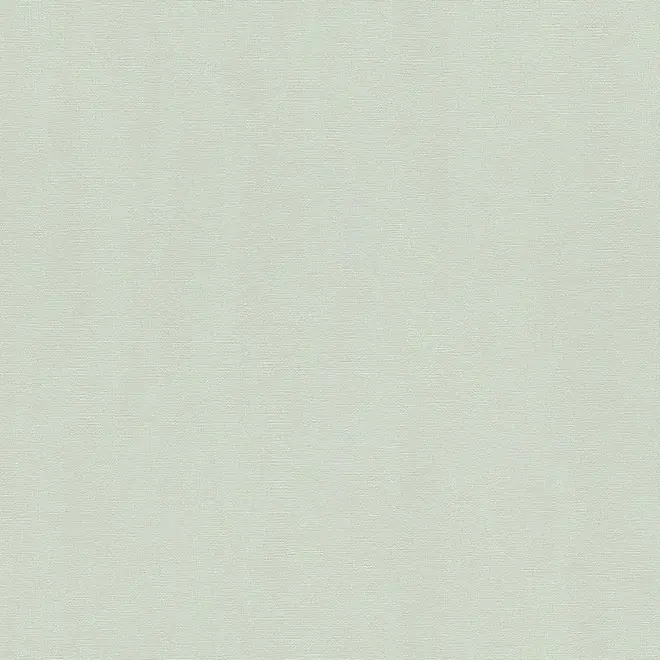 Rasch Hyde Park 411881 обои виниловые на флизелиновой основе