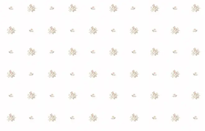 Milassa Classic Ls5002 обои флизелиновые