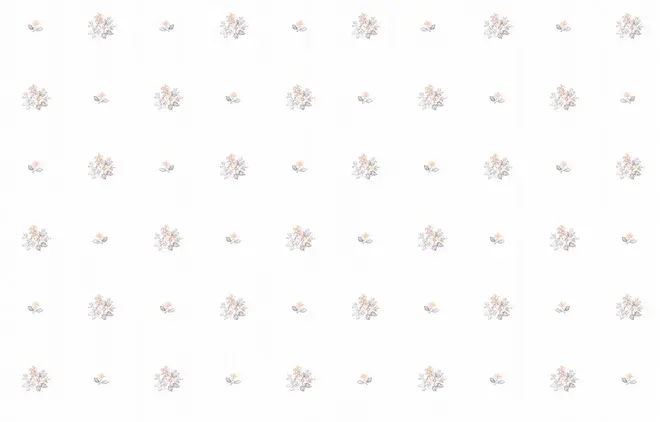 Milassa Classic Ls5007 обои флизелиновые