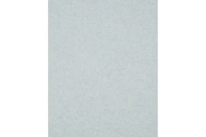 Master Silk MS-117 жидкие обои (1 кг)