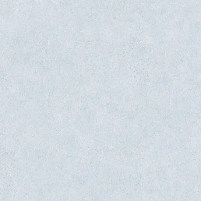 AS Creation Bude 2.0 36206-3 обои виниловые на флизелиновой основе