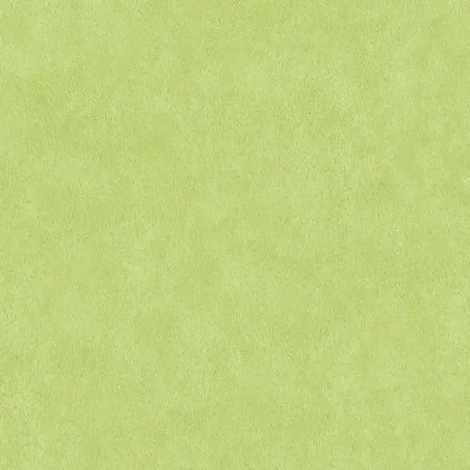 AS Creation Bude 2.0 36206-7 обои виниловые на флизелиновой основе