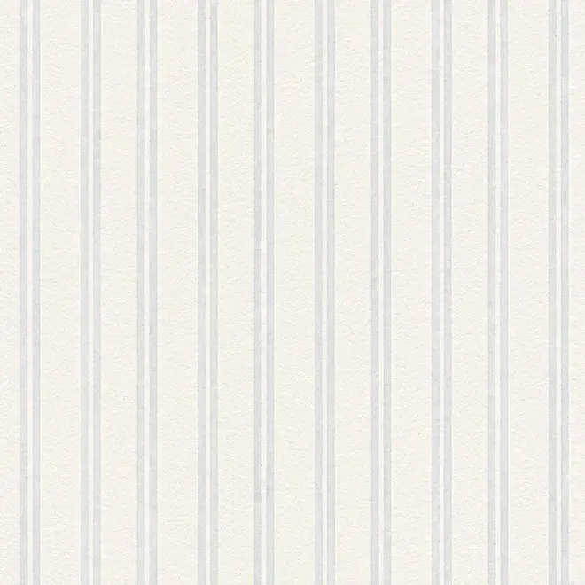 AS Creation Meistervlies 2435-15 обои виниловые на флизелиновой основе