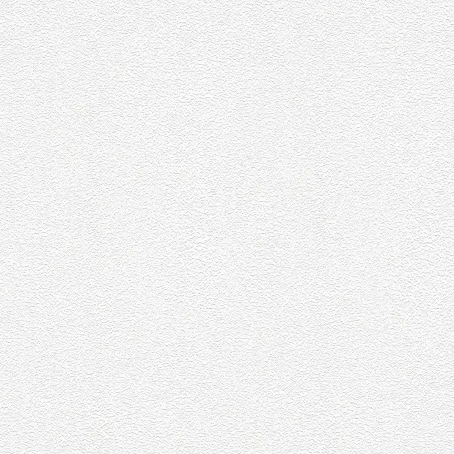 AS Creation Meistervlies 2458-16 обои виниловые на флизелиновой основе