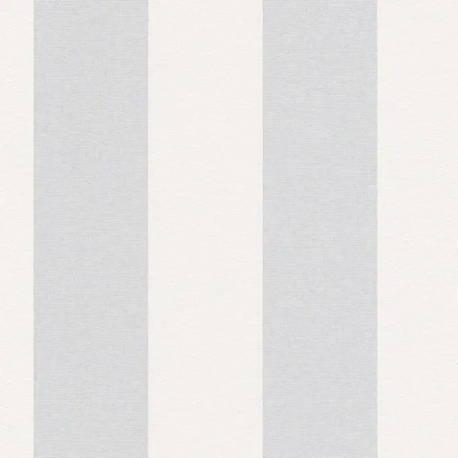 AS Creation Meistervlies 2475-13 обои виниловые на флизелиновой основе