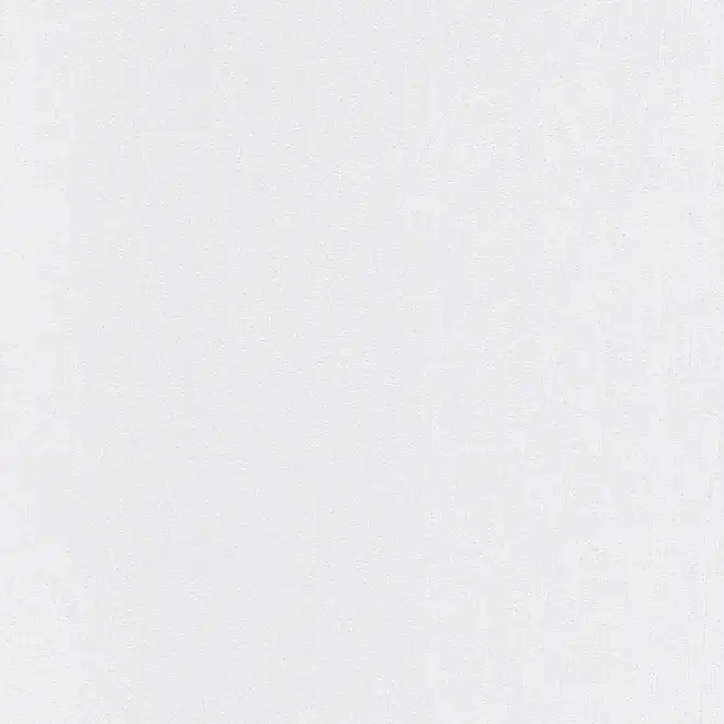 AS Creation Meistervlies 2483-12 обои виниловые на флизелиновой основе