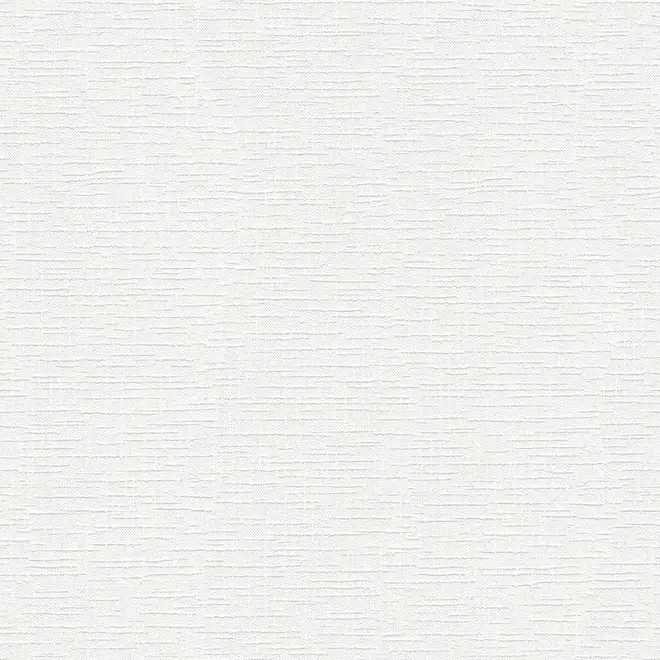 AS Creation Meistervlies 2505-13 обои виниловые на флизелиновой основе