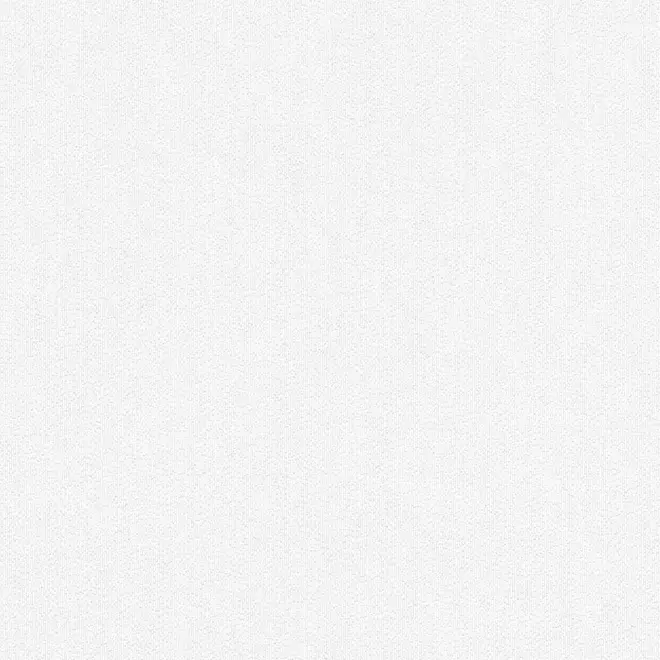 AS Creation Meistervlies 3058-17 обои виниловые на флизелиновой основе