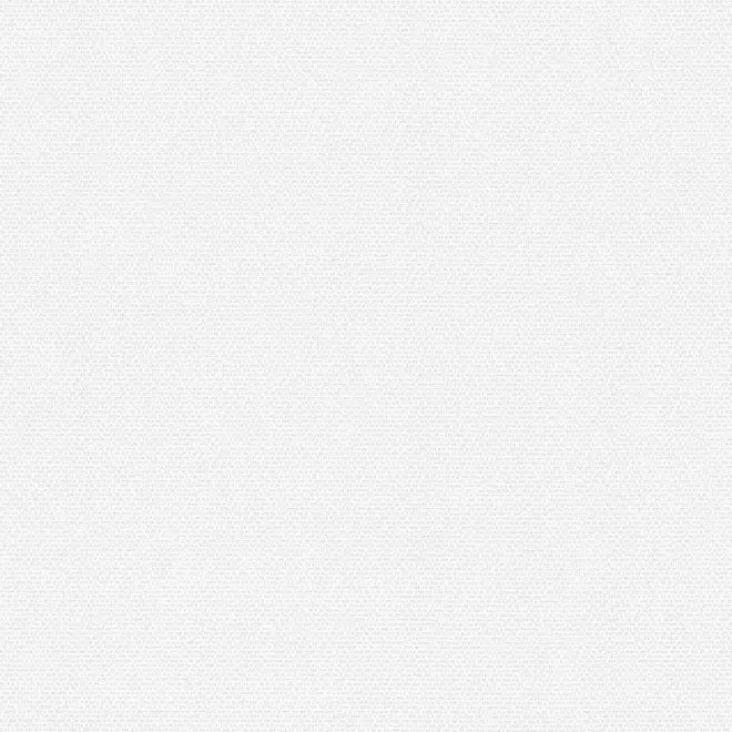 AS Creation Meistervlies 3066-16 обои виниловые на флизелиновой основе