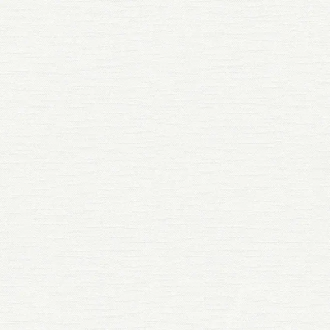 AS Creation Meistervlies 3236-13 обои виниловые на флизелиновой основе