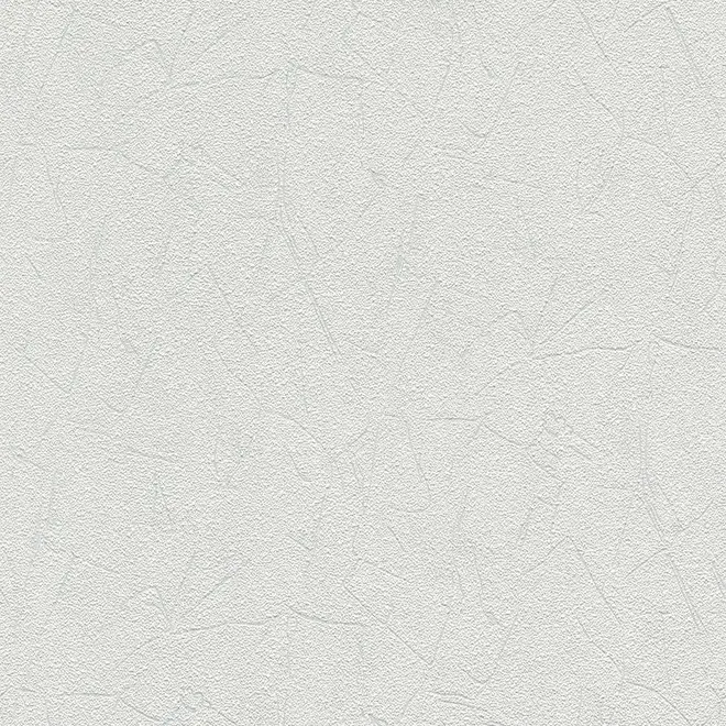 AS Creation Meistervlies 5712-12 обои виниловые на флизелиновой основе