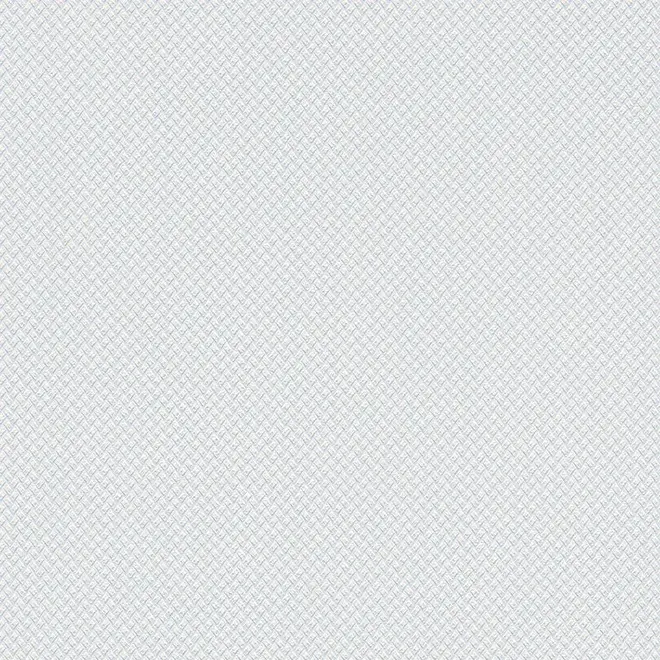 AS Creation Meistervlies 93527-1 обои виниловые на флизелиновой основе