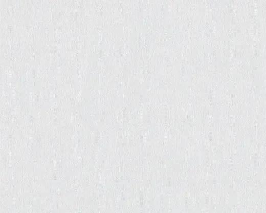 AS Creation Meistervlies 9656-15 обои виниловые на флизелиновой основе