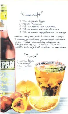 Сокол Коктейль коллекция D569B1R панно