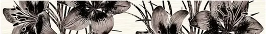 Нефрит-Керамика Piano коллекция Piano 05-01-1-56-03-15-081-0 бордюр