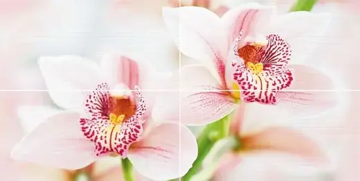 Нефрит-Керамика Меланж коллекция Меланж 06-01-1-45-04-11-440-0 панно (500*1000 мм/9 мм) разноцветное матовое фотопринт/орхидея