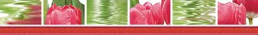 Нефрит-Керамика Фреш коллекция Фреш Тюльпаны 05-01-1-77-05-47-160-0 бордюр (500 мм) 70 мм (9 мм) бордовый