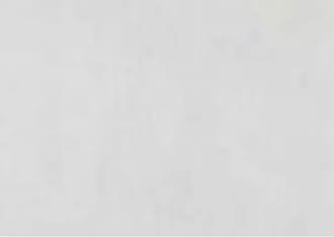 Elysium Е59110 флизелин малярный