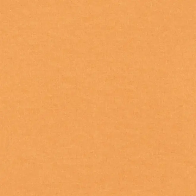 Rasch Freundin III 464085 обои виниловые на флизелиновой основе