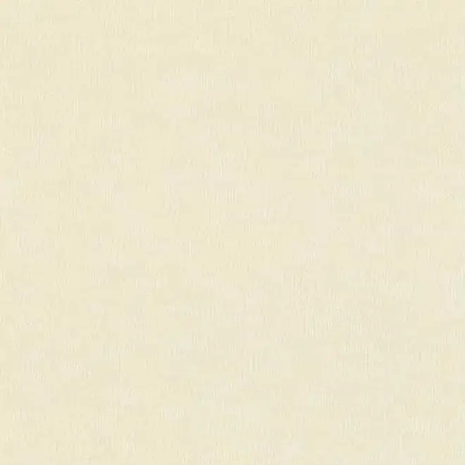Rasch Saphira 420654 обои виниловые на флизелиновой основе