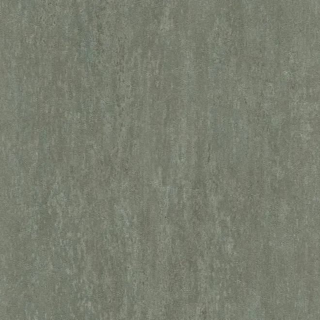 Rasch Highlands 550078 обои виниловые на флизелиновой основе