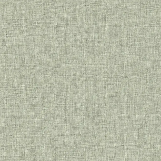 Rasch Highlands 550450 обои виниловые на флизелиновой основе