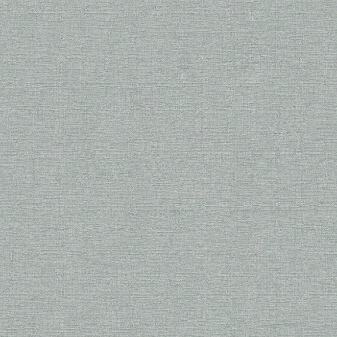 Erismann Jacklin 60111-05 обои виниловые на флизелиновой основе