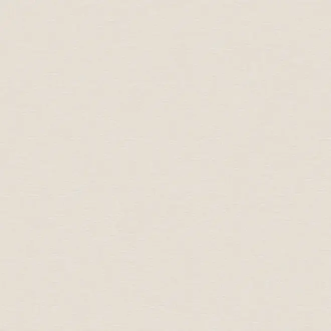 Erismann Jacklin 60112-02 обои виниловые на флизелиновой основе