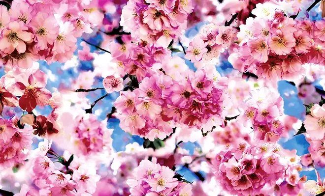 Erismann Trend 3 6142-5 обои виниловые на флизелиновой основе