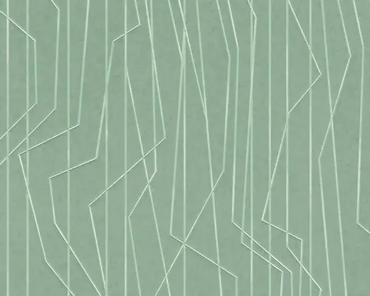 AS Creation Emotion Graphic 36878-5 обои виниловые на флизелиновой основе