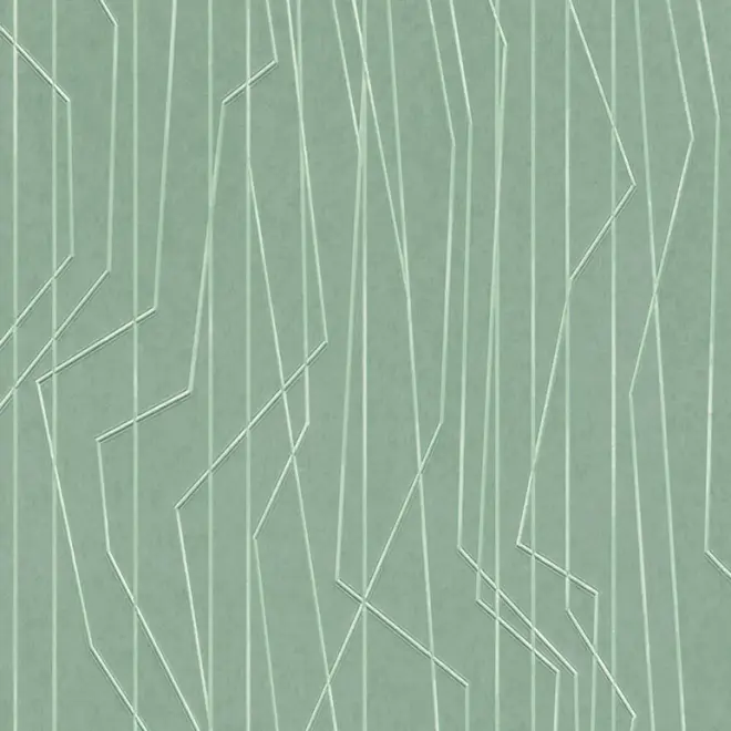 AS Creation Emotion Graphic 36878-5 обои виниловые на флизелиновой основе