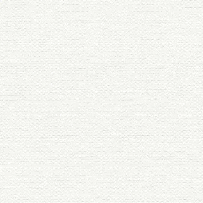 AS Creation Meistervlies 6 3241-15 обои виниловые на флизелиновой основе